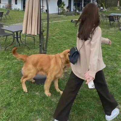 佩吉巷的火枪手